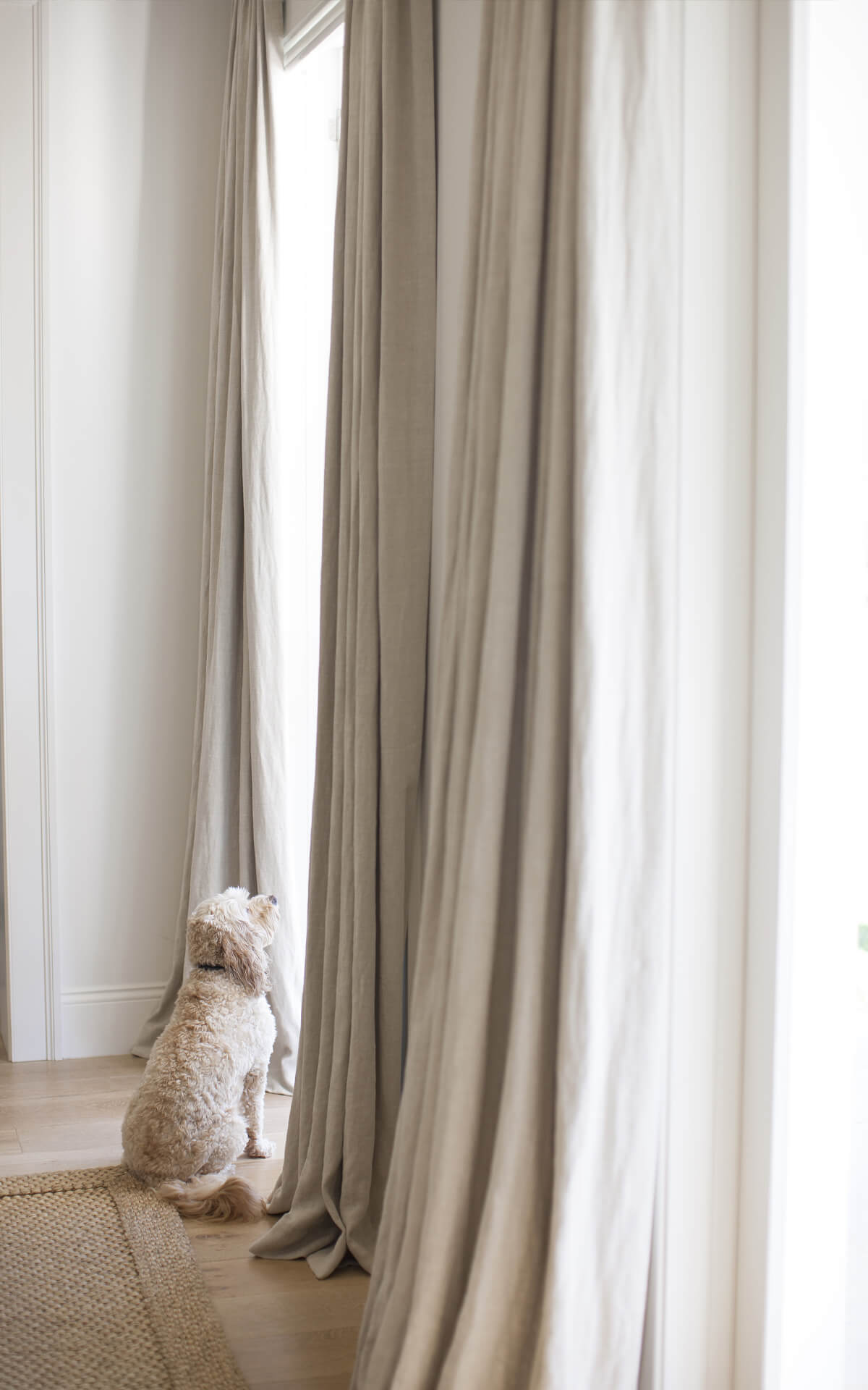 Bondi Junction Sheer Curtains